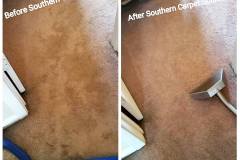 before-and-after-carpet-cleaning-southerncarpetsolutions