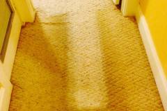 best-carpet-cleaned-by professionals-slidell-la