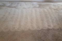 carpet-cleaning-local-slidell LA